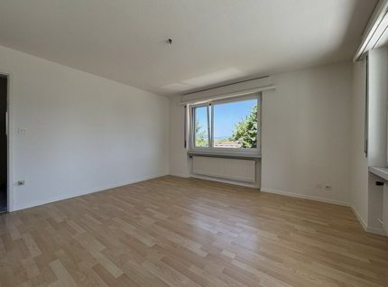 Appartement with 3.5 rooms for rent in Heerbrugg - 69 m² 1/5