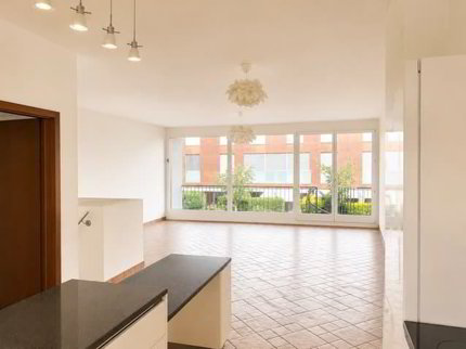 Beau duplex lumineux traversant de 5.5 pièces avec jardins 1/5