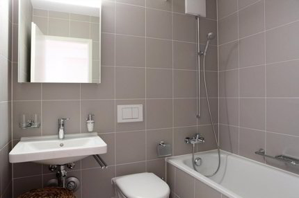 Appartement meublé with 2 rooms for rent in Basel - 54 m² 1/5