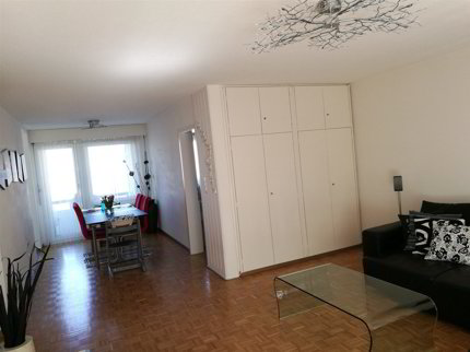 Apartment for rent, Naglikonerweg 9 (Wädenswil, Switzerland) 1/5