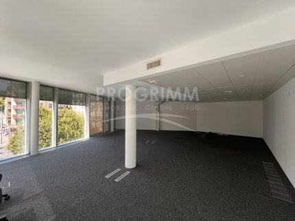 Commercial for rent in Geneva, Switzerland 1/5