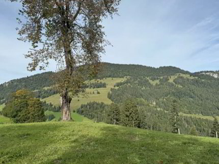 Bauland an sonniger und aussichtsreicher Lage in Zweisimmen... 1/5