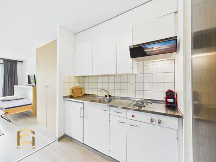 Chamantes Studio mit Balkon in Unterbäch 1/5