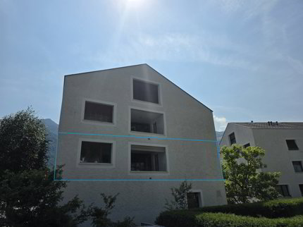 3 1/2 Zimmer-Wohnung im Zentrum von Näfels 1/5
