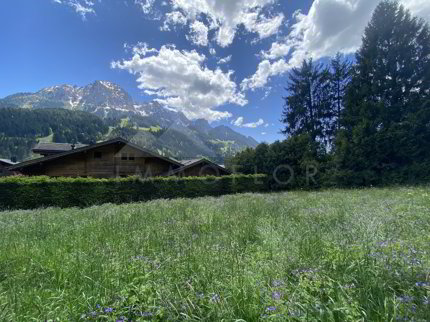 Parzelle Nr. 1304 1/5