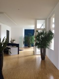 286 m² Büro-Loft & Tiefgaragenplätze 1/5