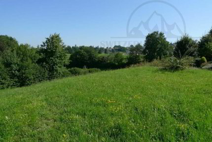 Suche Bauland in Fribourg Region und Umgebung 1/1