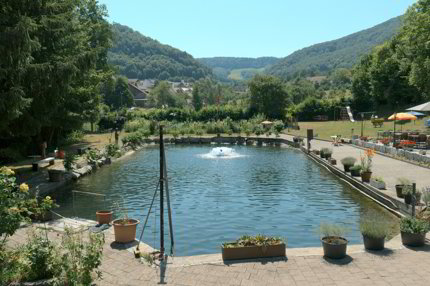 Restaurant «Forellenhof» - Wittnauerstrasse 201, 4468 Kienberg Kopie 1/5