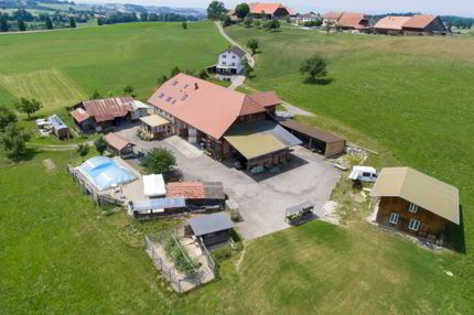 Mehr als ein Bauernhaus - drei Wohnungen und unzählige Möglichkeiten 1/5