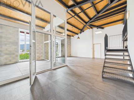 Loft de 1.5 pièces en location à zone - 90 m² 1/5