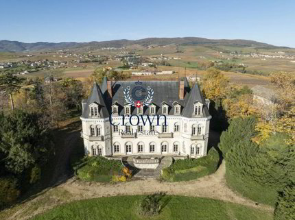 Château en vente à Saint-Lager - 700 m² 1/5