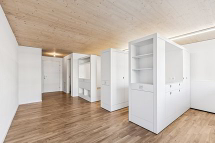 Apartment for rent, Steingrüeblistrasse 22 (St. Gallen, Switzerland) 1/3