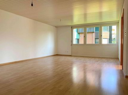 Grosse Wohnung mit schönem Balkon 1/5
