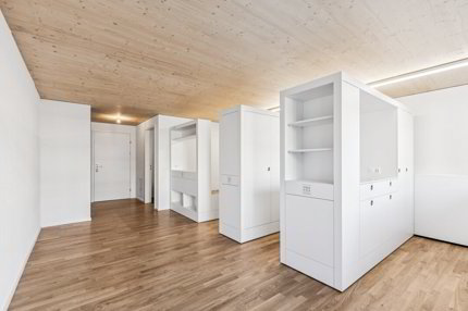 Appartement meublé de 1 pièce en location à St. Gallen - 30 m² 1/3