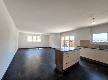 ERDE - SPACIEUX APPARTEMENT 4.5PCES AVEC TERRASSE 1/5