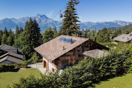 Chalet Dionysia 1/5