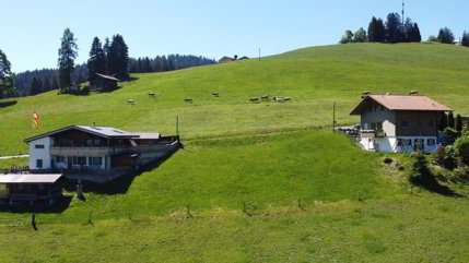 Fantastisches Baulandgrundstück 990 m2 für Neubau von Einzel- oder... 1/5