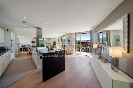 Eleganz, einzigartige Architektur und Blick über den Zürichsee 1/3