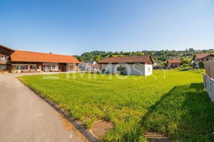 Grosszügiges Bauland mit vielseitigem Potenzial 1/3