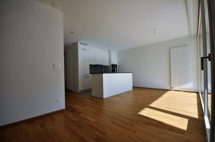 Appartement de 3.5 pièces de 100 mètres carré au rez-de-chaussée 1/5