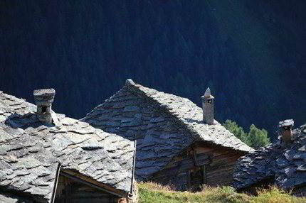 EVOLENE - Bréonna Wunderschönes Alpmagazin 1/5