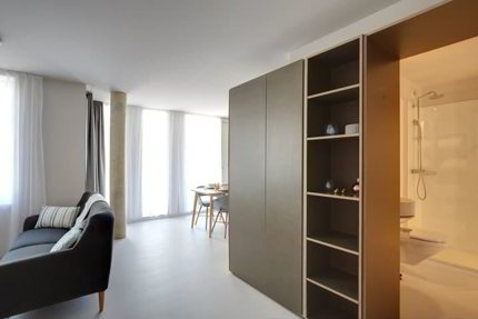 Studio meublé Deluxe/Furnished Deluxe studio in Nyon 1/5