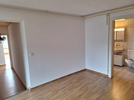 Helle grosszügige 3.5 Zi Wohnung 1/5