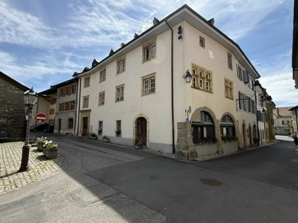 Magnifique immeuble historique à affectation mixte restaurant et habitations 1/1