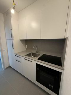 Appartement de 1.5 pièces en location à Tenero 1/5