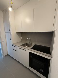 TENERO CENTRO - Affittasi appartamento di 1.5 locali 1/5