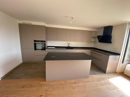 Très bel attique moderne de 5 pièces avec jardin à Avusy 1/5
