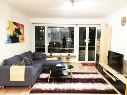 Furnished 3.5-Room Apartment with Balcony and Beautiful Views in Wallisellen 1/5