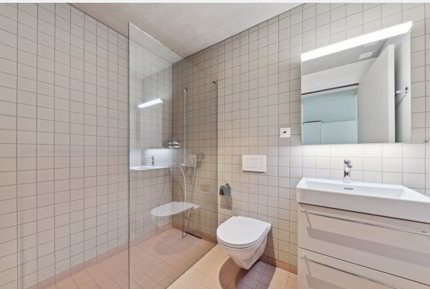 2.5-Zimmer-Wohnung an zentraler Lage in Dübendorf 1/5