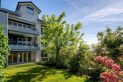 Modernes Wohnen eingebettet in die Natur / Frisch renovierte 4.5 Zimmerwohnung im EG / Im Baurecht 1/5