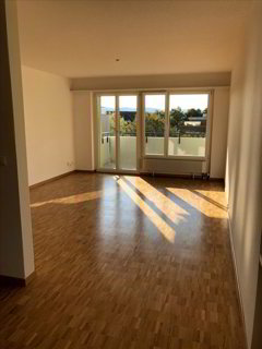 MIETEN OHNE DEPOT - grosszügige Wohnung in Banhofsnähe 1/3