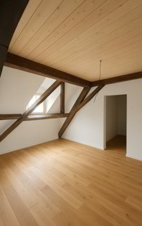 Moderne 2.5-Zimmer-Duplex in Stein AG mieten (Nr. 16) 1/5