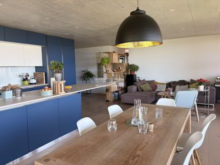 6,5-Zimmer-Loft mit grosser Terrasse 1/5