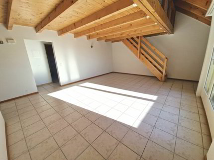 Appartement duplex 3 1/2 pièces avec mezzanine 1/5