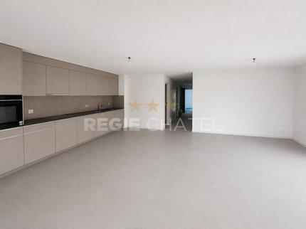 Appartement neuf de 4.5 pièces en location à La Tour-de-Trême 1/5