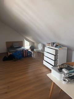 CHARMANTE DACHWOHNUNG IM HISTORISCHEN HOF DES SCHLÖSSLI RUBIGEN 1/5