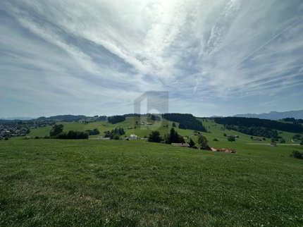 EXKLUSIVE MIT UNVERBAUBARER WEITSICHT 1/1