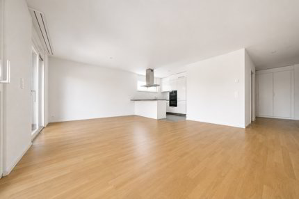 CONTEMPORAIN DE STANDING AVEC BALCON-TERRASSE PROCHE DU LAC 1/5