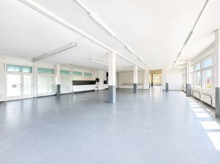PLAIN-PIED - SURFACE COMMERCIALE & INDUSTRIELLE 1/3