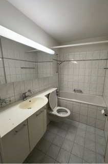 Wohnung in Zürich Altstetten an ruhiger Lage 1/5