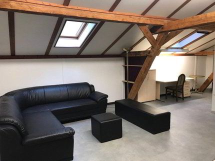 Appartement meublé de 1 pièce en location à Altdorf UR - 20 m² 1/5