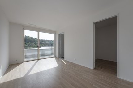 Attikawohnung mit 120 m² Terrasse und unverbautem Blick auf Wald und Weite 1/5