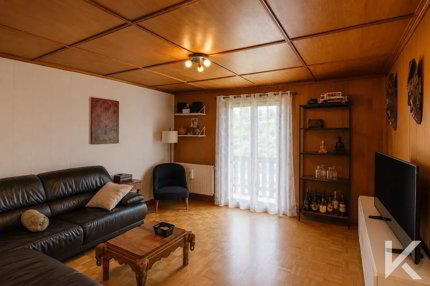 Wunderschönes Chalet in Troistorrents 1/5