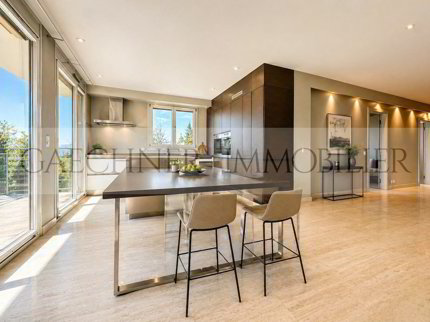 Attique duplex Terrasse 1/5