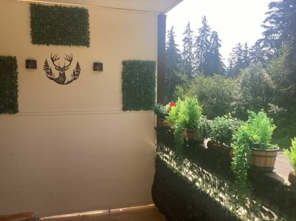 Appartement 1 1/2 pièces à Crans-Montana 1/5