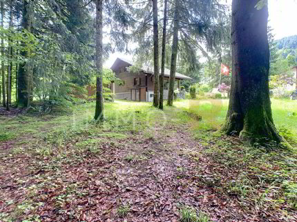 Schönes Ferienhaus in idyllischer Umgebung 1/5